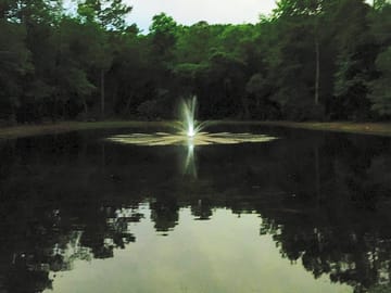Night view of the pond