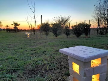 Pitches separated by olive bushes