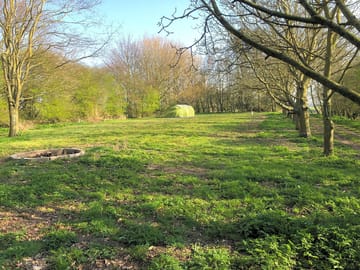 Green surroundings