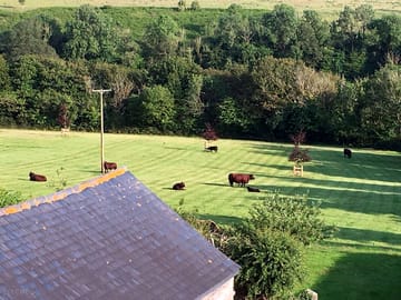 This is a view of the cow field from the site