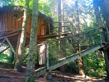 Treehouse and walkway