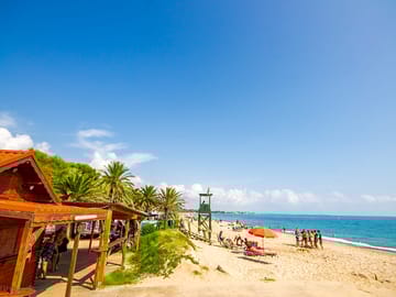 Beach bar of la torre del sol
