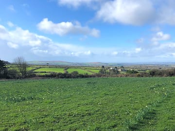 Green landscape