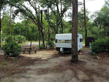 Pitches among the trees