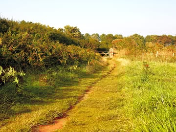 Lovely walks around the area