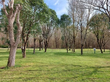 Tree-shaded pitches