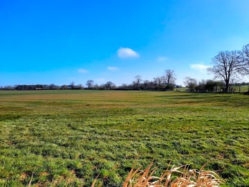 Grassy pitches
