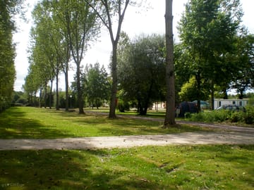 General view of the grass pitches showing level, large pitches divided by trees