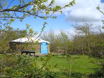 Oak yurt