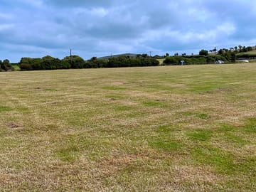 The main field