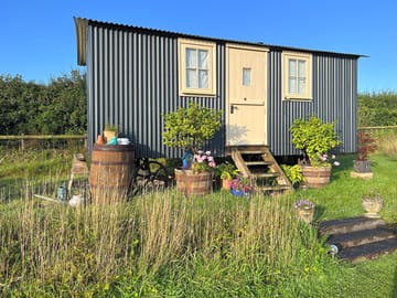 Blue bird shepherd's hut at 7am