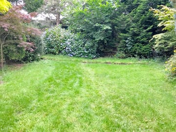 Grass pitch in the south part of the garden