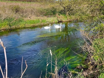 Plenty of wildlife