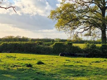 Pitch locations with glastonbury tor in the background