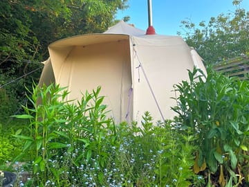 Bell tent surrounded by greenery