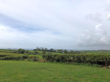 Site view