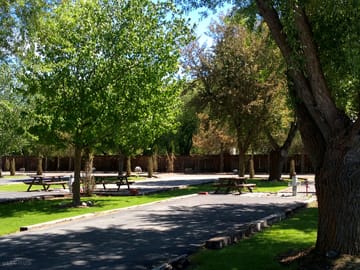 Trees around the pitches for shade and privacy