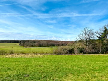View across the pitches