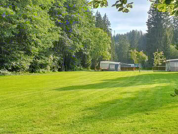 Pitches among the trees