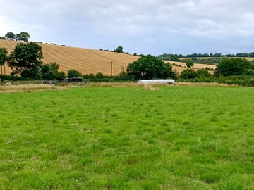 Grass pitches