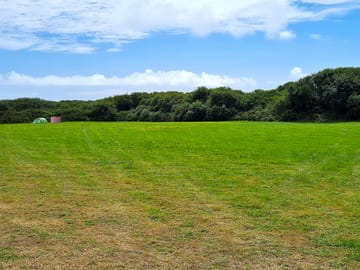 Camping field sheltered by trees