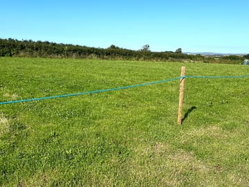 Grassy plots