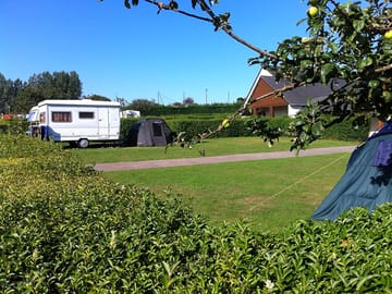 Grass pitches on a sunny summer's day