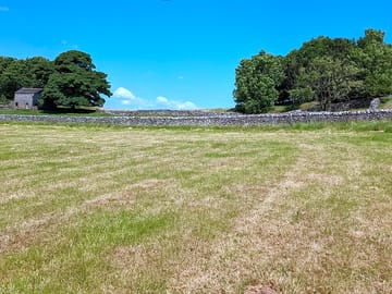 View of the site