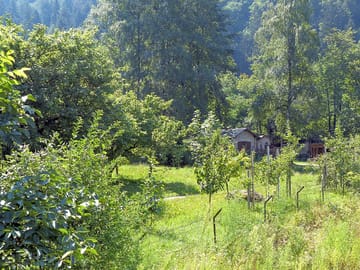 Nature all around
