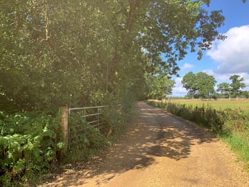 Looking back up the driveway which is 1/2km to the dirt road