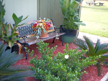 Flower beds in front of the office building