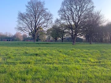 View across the site