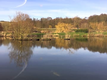 Heron lake for coarse fishing