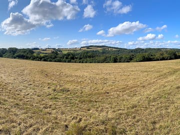 Grass pitches