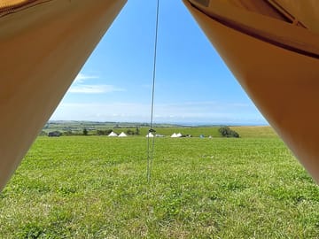 The view from the bell tent in the morning