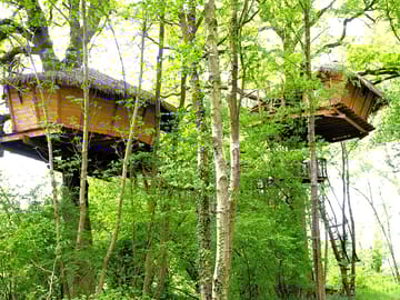 Characterful treehouses