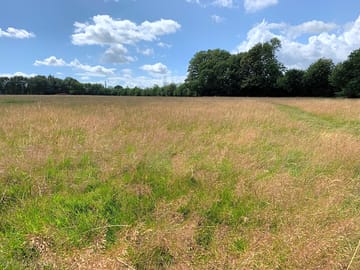 Spacious flat field with mown pitches