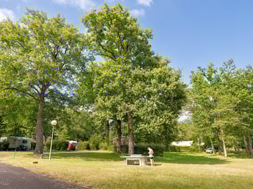 Around the site