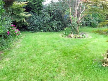 Grass pitch in the south-west part of the garden