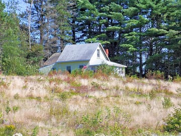 View uphill to Cottage #7