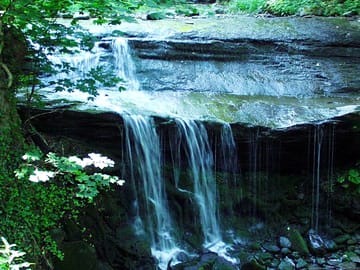 Waterfall nearby