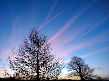 Morning sky