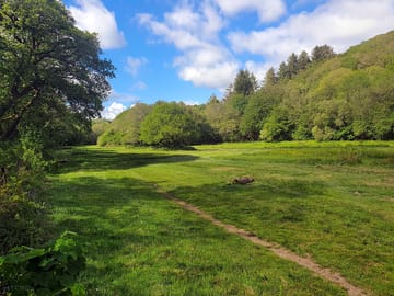View over the pitches