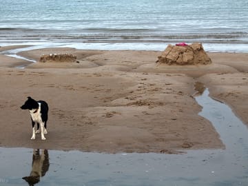 Sandcastles