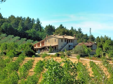 Stay on a working farm