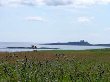 Views of dunstanburgh castle from low newton