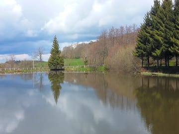 The pond