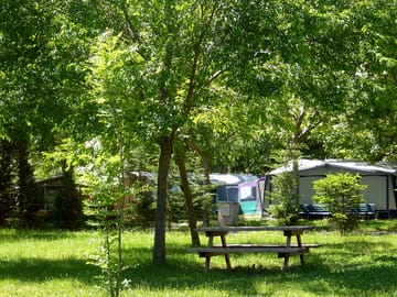Pitches surrounded by trees