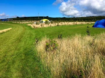 Camping pitches