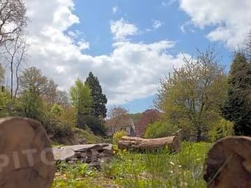 Fire pit